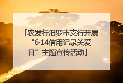 农发行汨罗市支行开展“6·14信用记录关爱日”主题宣传活动
