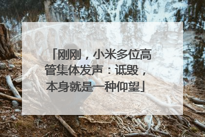 刚刚，小米多位高管集体发声：诋毁，本身就是一种仰望