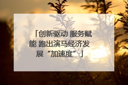 创新驱动 服务赋能 跑出演马经济发展“加速度”