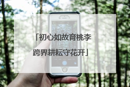 初心如故育桃李 跨界耕耘守花开
