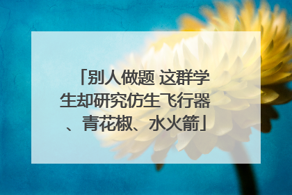 别人做题 这群学生却研究仿生飞行器、青花椒、水火箭