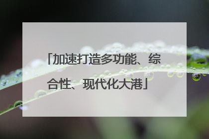 加速打造多功能、综合性、现代化大港