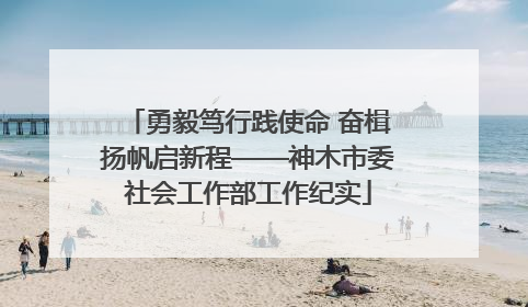勇毅笃行践使命 奋楫扬帆启新程——神木市委社会工作部工作纪实