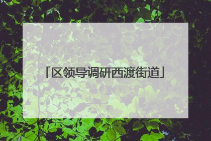区领导调研西渡街道