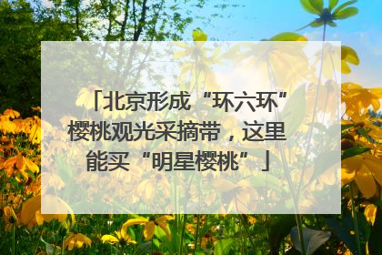 北京形成“环六环”樱桃观光采摘带，这里能买“明星樱桃”
