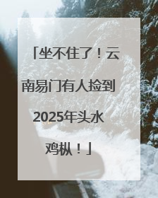 坐不住了！云南易门有人捡到2025年头水鸡枞！
