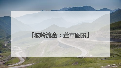 坡岭流金：萱草图景