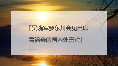 吴晓军罗东川会见出席青洽会的国内外嘉宾