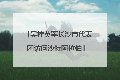 吴桂英率长沙市代表团访问沙特阿拉伯