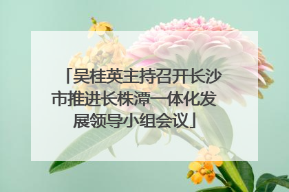 吴桂英主持召开长沙市推进长株潭一体化发展领导小组会议