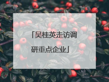 吴桂英走访调研重点企业