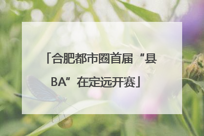 合肥都市圈首届“县BA”在定远开赛