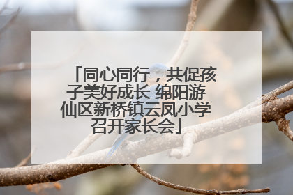 同心同行，共促孩子美好成长 绵阳游仙区新桥镇云凤小学召开家长会