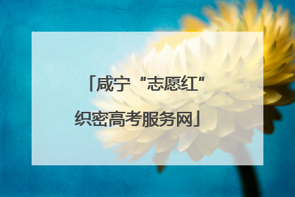 咸宁“志愿红”织密高考服务网