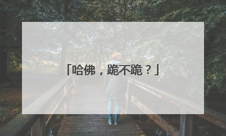 哈佛，跪不跪？