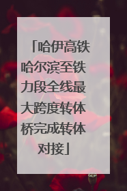哈伊高铁哈尔滨至铁力段全线最大跨度转体桥完成转体对接