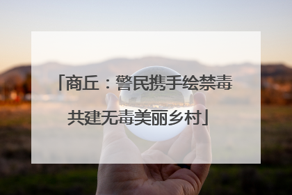 商丘：警民携手绘禁毒 共建无毒美丽乡村