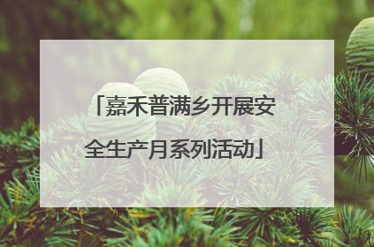 嘉禾普满乡开展安全生产月系列活动