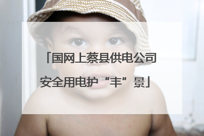 国网上蔡县供电公司安全用电护“丰”景
