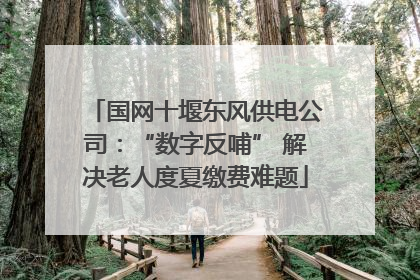 国网十堰东风供电公司：“数字反哺” 解决老人度夏缴费难题