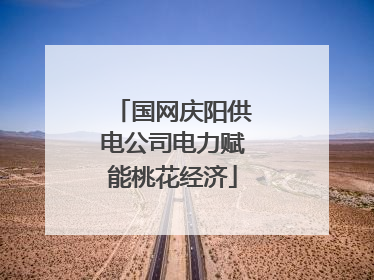 国网庆阳供电公司电力赋能桃花经济