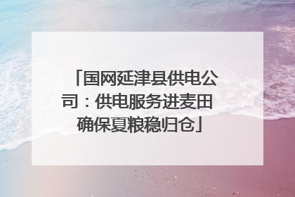 国网延津县供电公司：供电服务进麦田 确保夏粮稳归仓