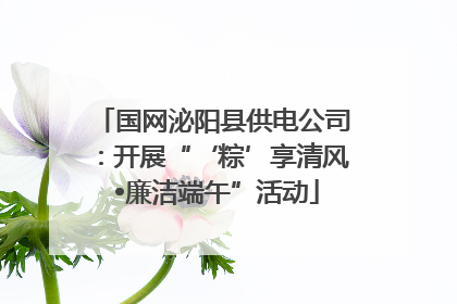 国网泌阳县供电公司：开展“‘粽’享清风 •廉洁端午”活动