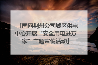 国网荆州公司城区供电中心开展“安全用电进万家”主题宣传活动