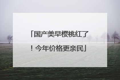 国产美早樱桃红了！今年价格更亲民