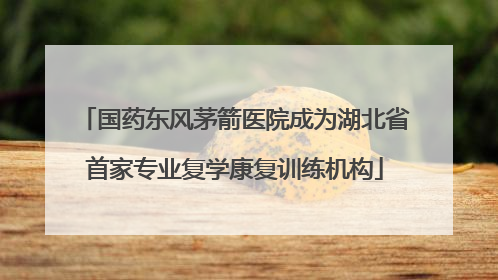 国药东风茅箭医院成为湖北省首家专业复学康复训练机构
