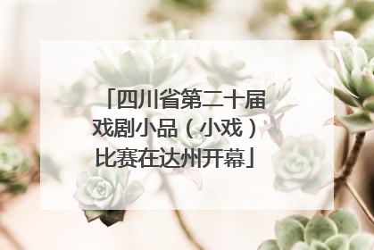 四川省第二十届戏剧小品（小戏）比赛在达州开幕