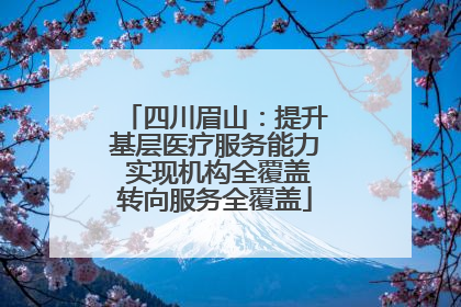 四川眉山：提升基层医疗服务能力 实现机构全覆盖转向服务全覆盖