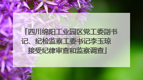 四川绵阳工业园区党工委副书记、纪检监察工委书记李玉琼 接受纪律审查和监察调查