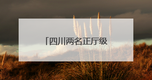 四川两名正厅级干部近期履新，均曾任遂宁市市长