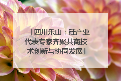 四川乐山：硅产业代表专家齐聚共商技术创新与协同发展