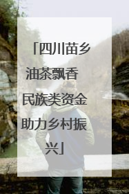 四川苗乡油茶飘香 民族类资金助力乡村振兴