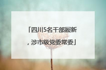 四川5名干部履新，涉市级党委常委