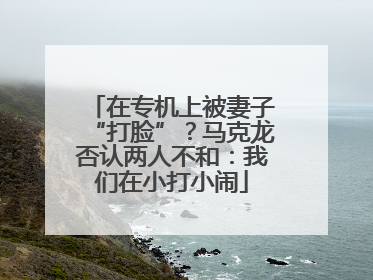 在专机上被妻子“打脸”？马克龙否认两人不和：我们在小打小闹