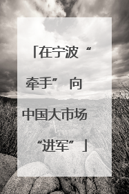 在宁波“牵手” 向中国大市场“进军”