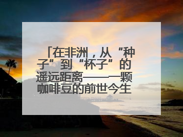 在非洲，从“种子”到“杯子”的遥远距离——一颗咖啡豆的前世今生（三）