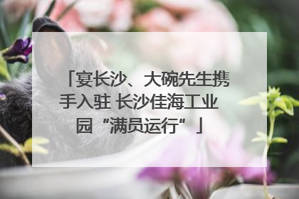 宴长沙、大碗先生携手入驻 长沙佳海工业园“满员运行”