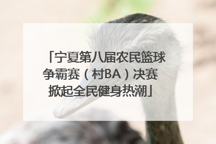 宁夏第八届农民篮球争霸赛（村BA）决赛掀起全民健身热潮