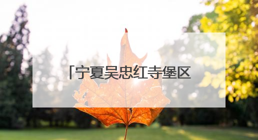 宁夏吴忠红寺堡区总工会开展“携手童行”主题慰问活动