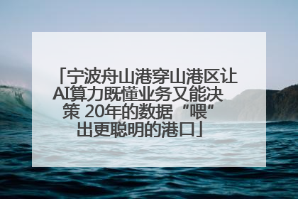 宁波舟山港穿山港区让AI算力既懂业务又能决策 20年的数据“喂”出更聪明的港口