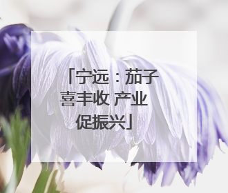 宁远：茄子喜丰收 产业促振兴