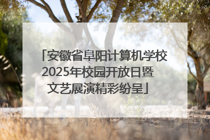 安徽省阜阳计算机学校2025年校园开放日暨文艺展演精彩纷呈