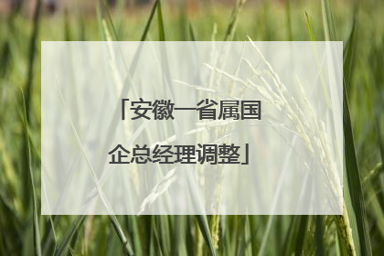 安徽一省属国企总经理调整