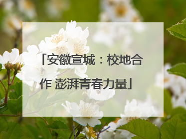 安徽宣城：校地合作 澎湃青春力量