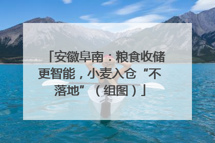 安徽阜南：粮食收储更智能，小麦入仓“不落地”（组图）
