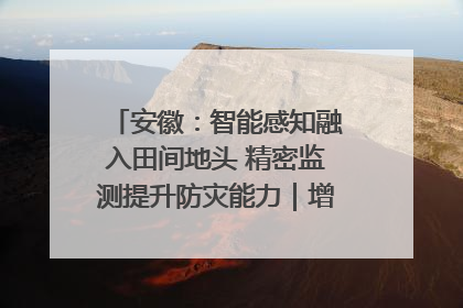 安徽：智能感知融入田间地头 精密监测提升防灾能力｜增发国债气象项目落地见效系列报道